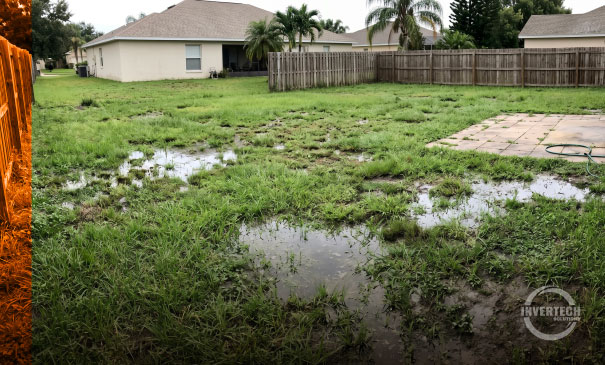 Standing water near drain field, failing septic system Florida