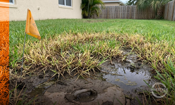Wet ground near septic tank, sewage odor outside Florida home