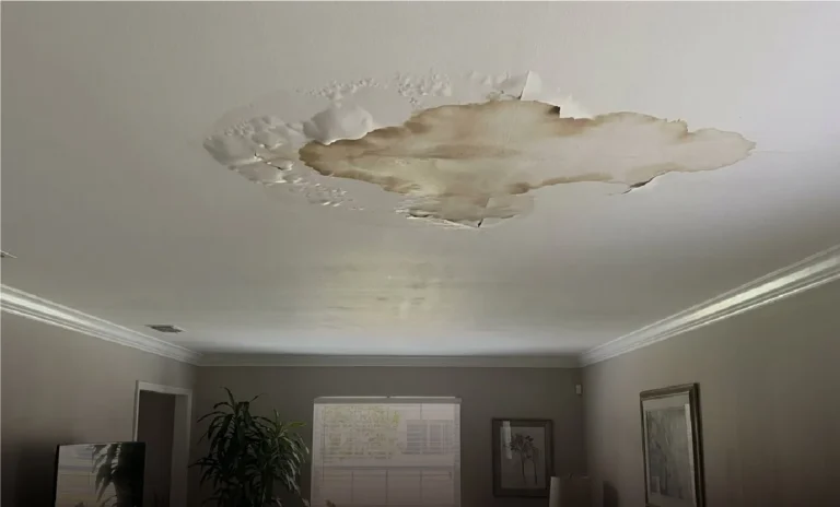 Large brown water stain with peeling paint on a living room ceiling from a hidden plumbing leak.