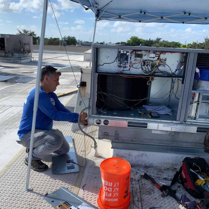 WhatsApp Image 2020-11-12 at 11.01.13 PM