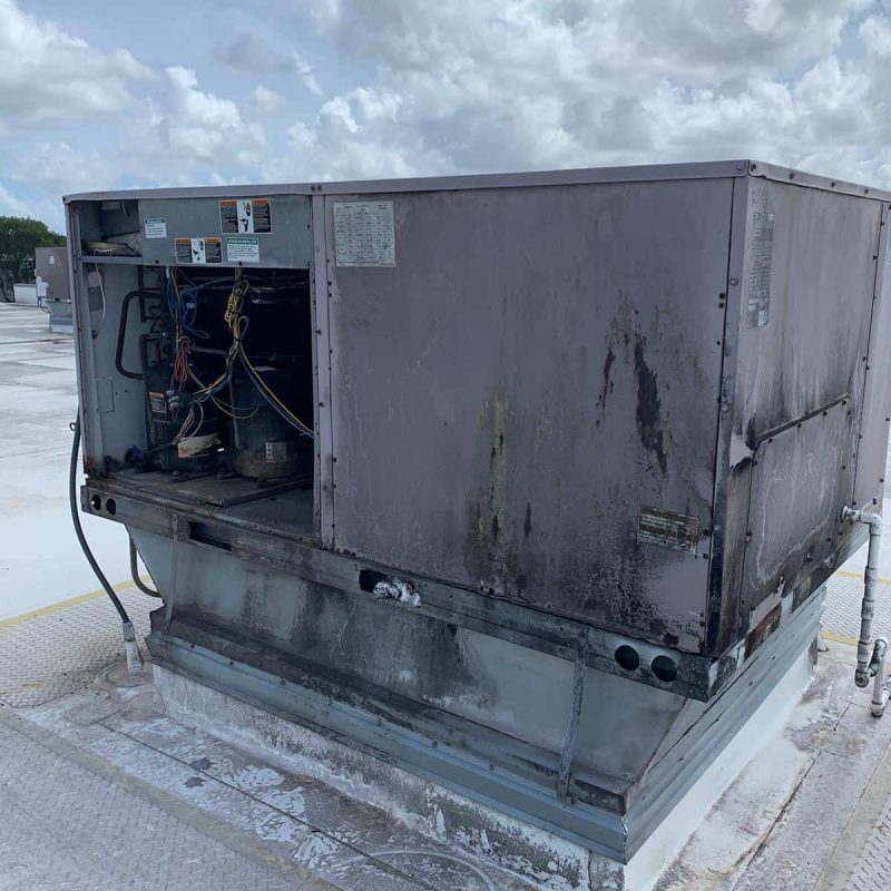 WhatsApp Image 2020-11-12 at 11.01.14 PM (2)