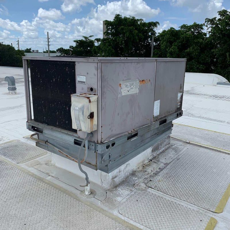 WhatsApp Image 2020-11-12 at 11.01.14 PM (3)