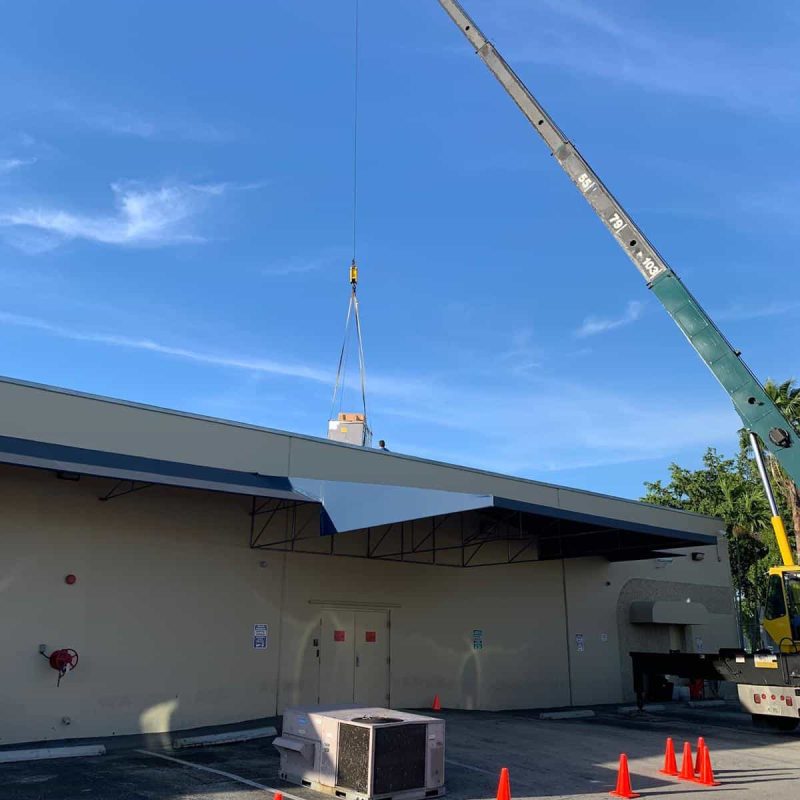 WhatsApp Image 2020-11-12 at 11.01.14 PM