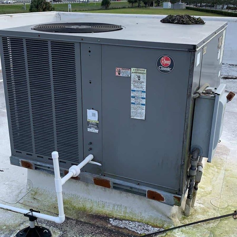 WhatsApp Image 2020-11-12 at 11.01.16 PM (1)