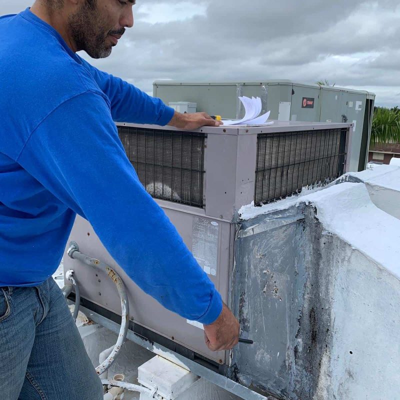 WhatsApp Image 2020-11-12 at 11.01.17 PM